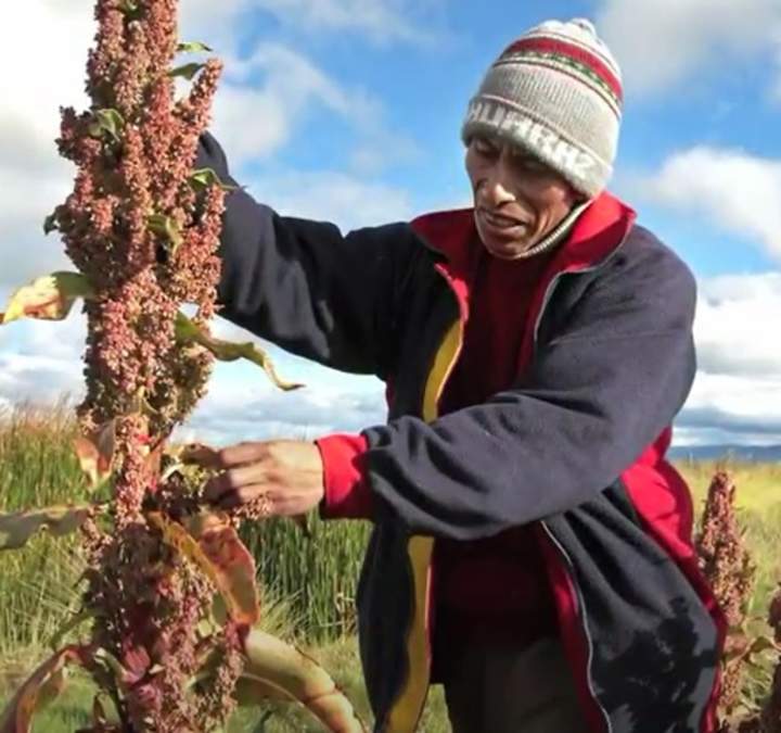 Documental "Machaq Mara". Parte 2 (5). Cosmovisión Aymara Imagen portada