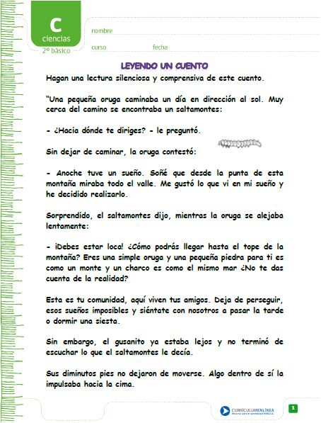 La oruga y la mariposa Imagen portada