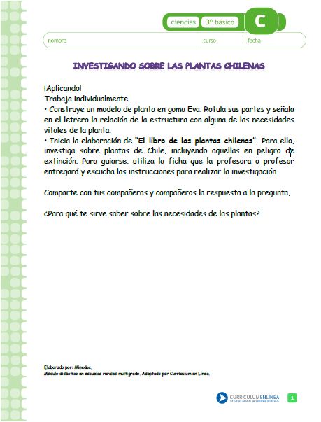 Investigando sobre las plantas chilenas Imagen portada