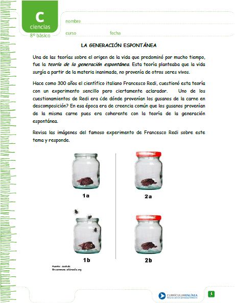 Experimento de Redi Imagen portada