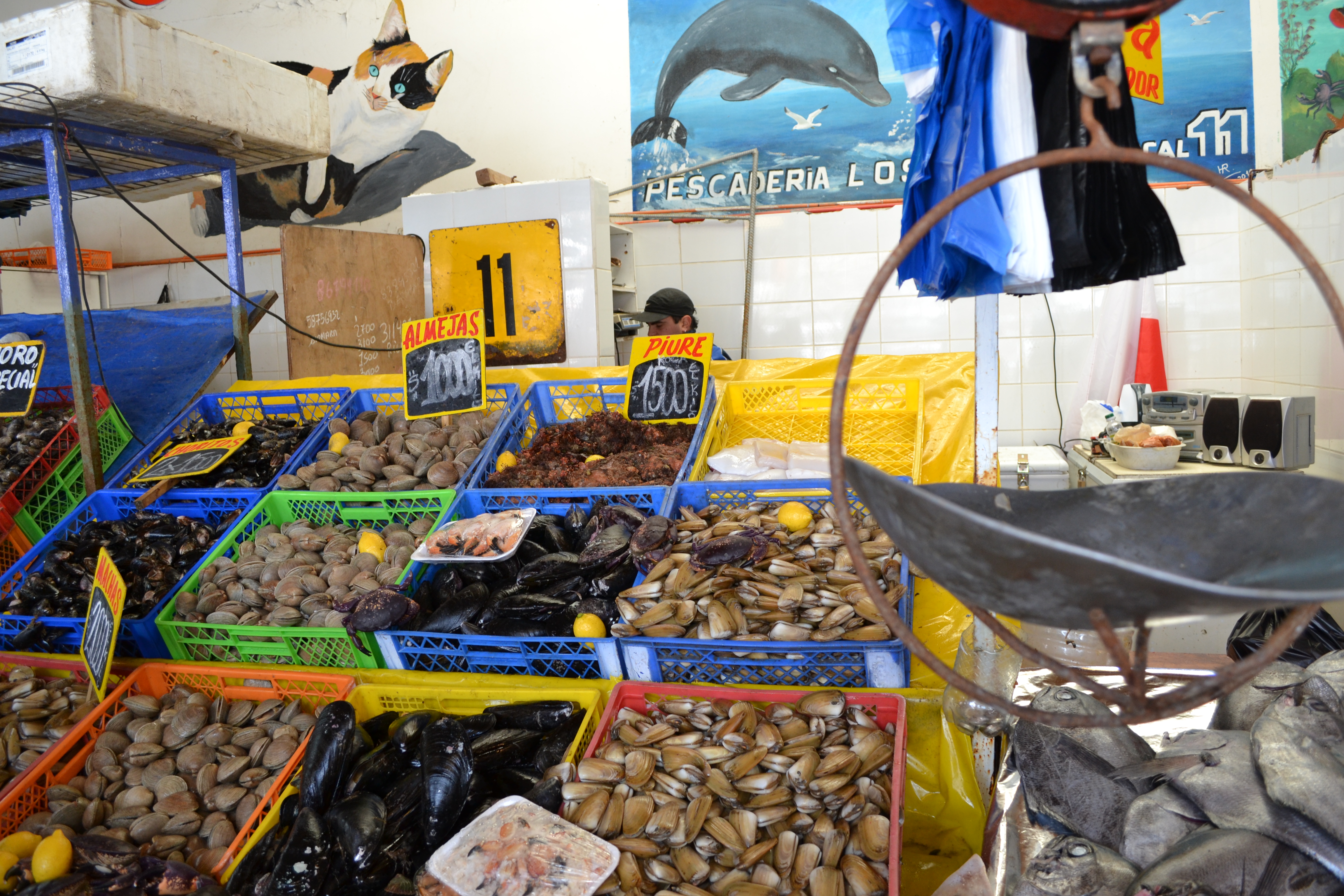 Caleta con mariscos a la venta Imagen portada