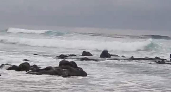 Sonido del mar Imagen portada