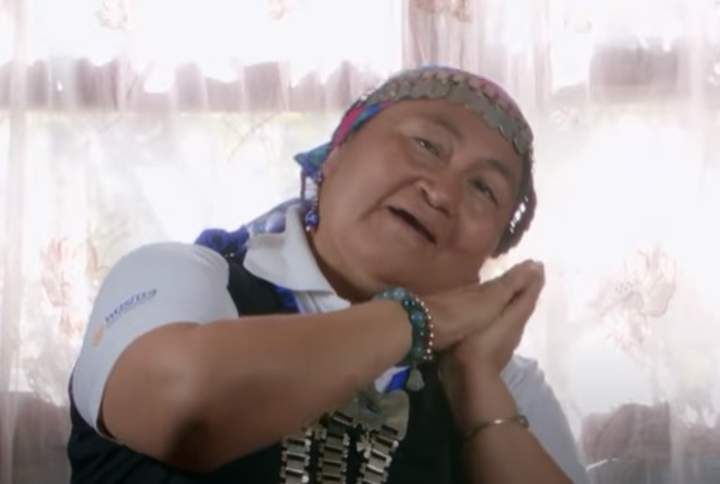Cantos Mapuche para niñas y niños Imagen portada