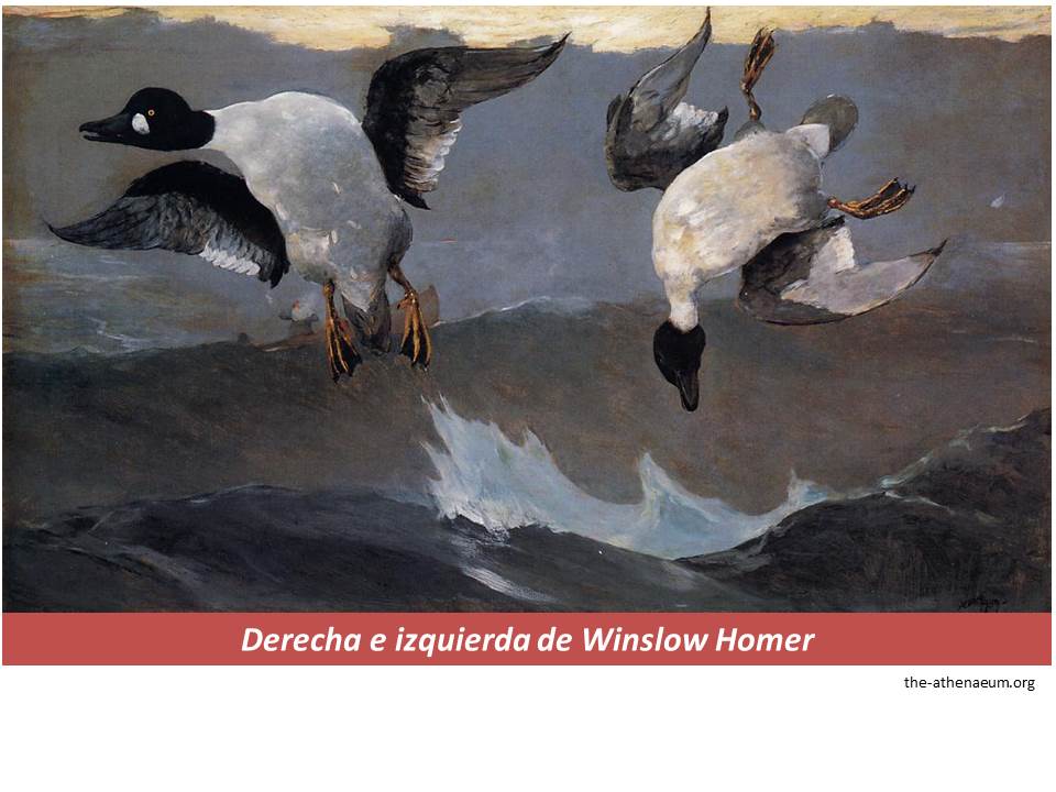 Derecha e izquierda de Winslow Homer Imagen portada