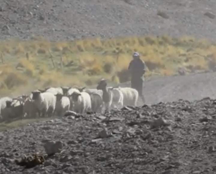 La Comunidad Colla Pai Ote, Un Territorio de Vida Amenazado - Documental (2020) Imagen portada