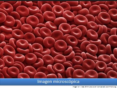 Imagen microscópica 6 Imagen portada