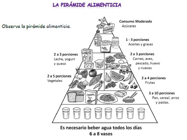 Pirámide alimenticia Imagen portada