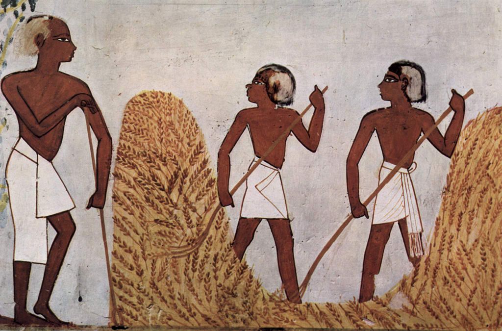 Cosecha de cereales, mural egipcio Imagen portada