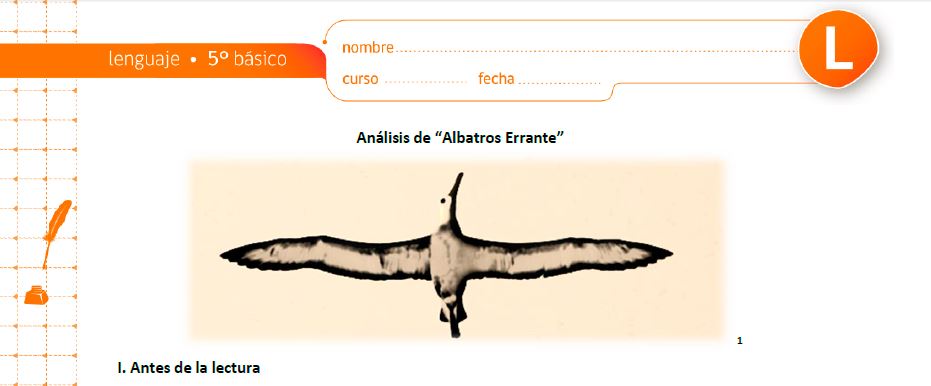 Análisis de Albatros Errante Imagen portada