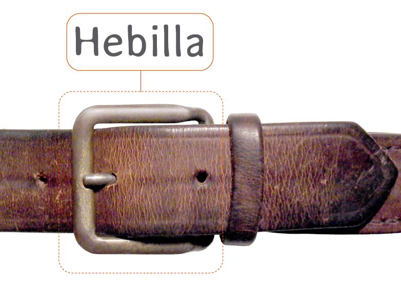 Afiche de vocabulario: hebilla Imagen portada