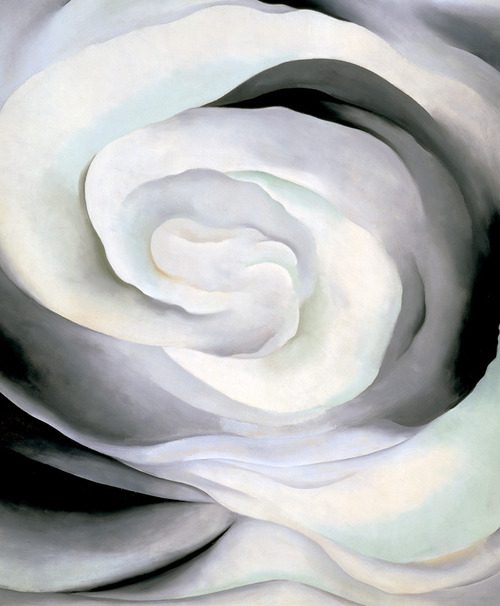 Flor Georgia Okeefe Imagen portada
