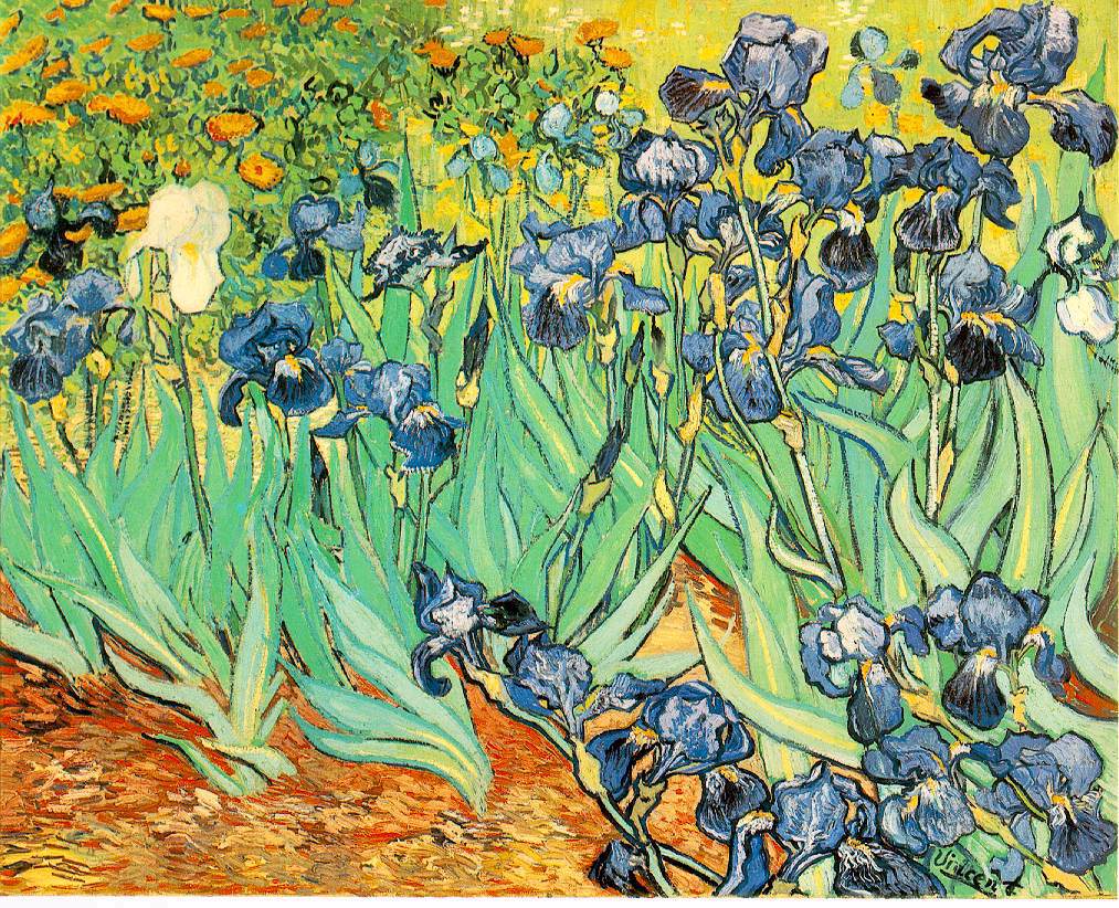 Lirios de Vincent Van Gogh Imagen portada