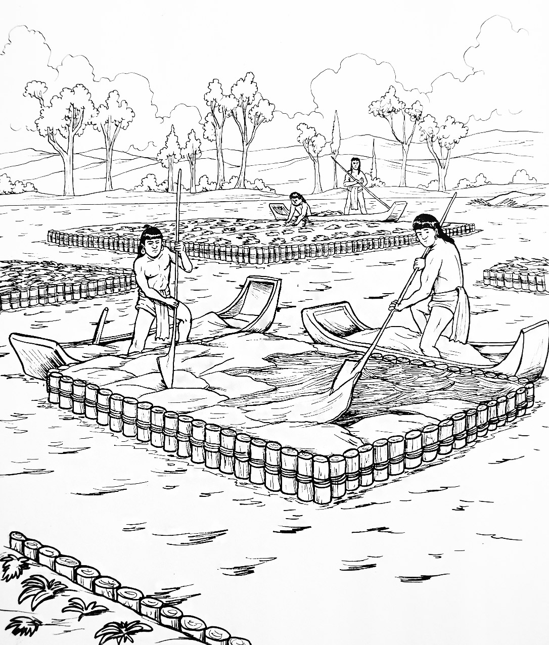 Chinampas Imagen portada