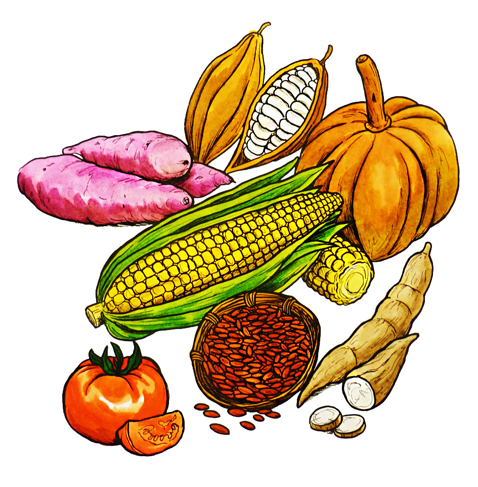 Productos agrícolas mayas Imagen portada