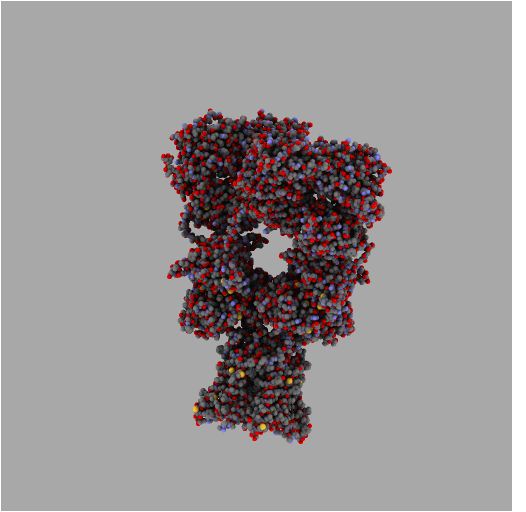 Proteína Imagen portada