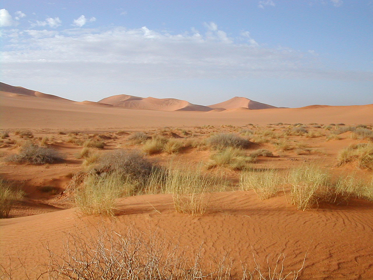 Desierto del Sahara Imagen portada