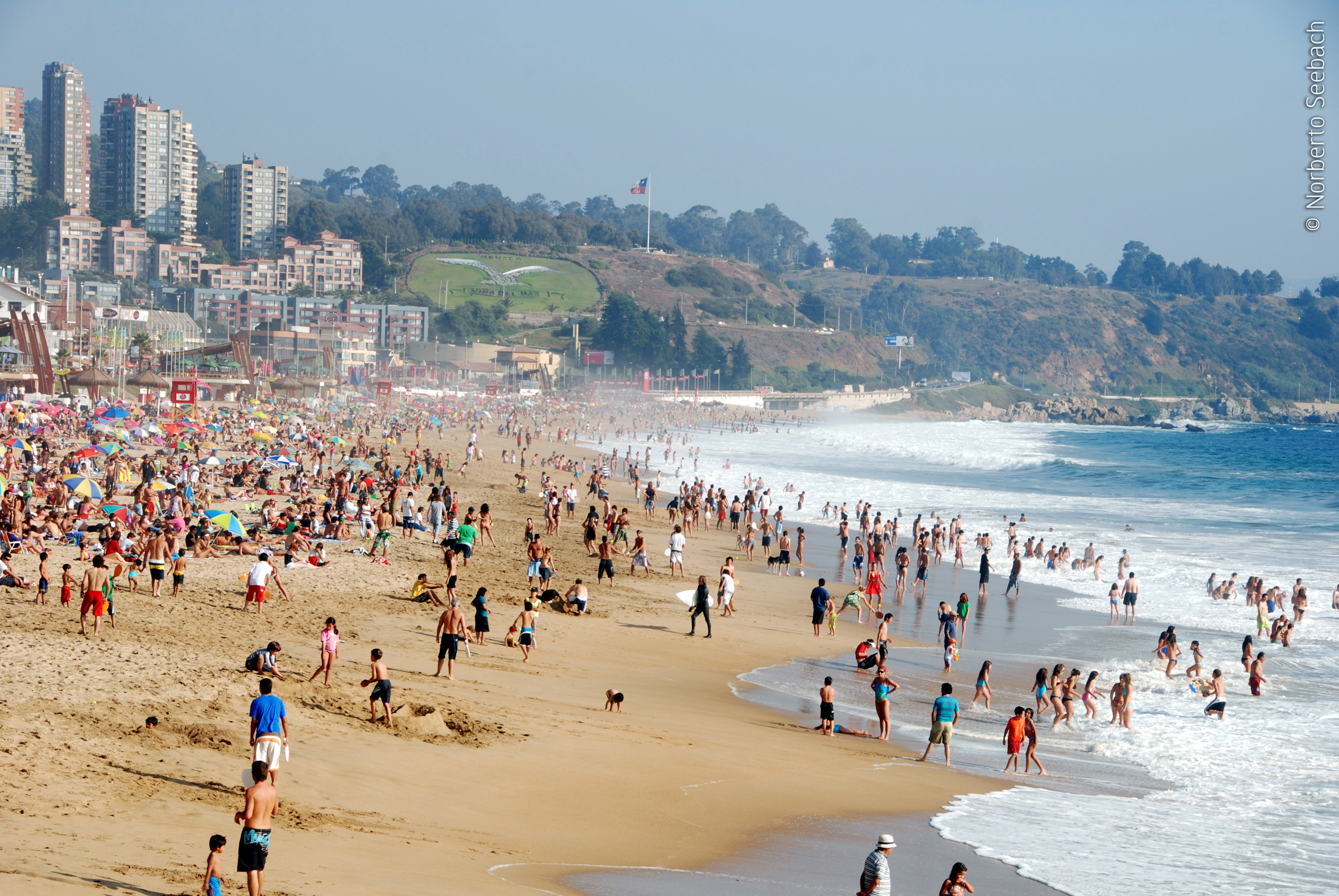 Playa de Reñaca Imagen portada