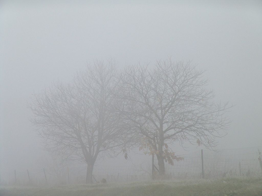Niebla Imagen portada