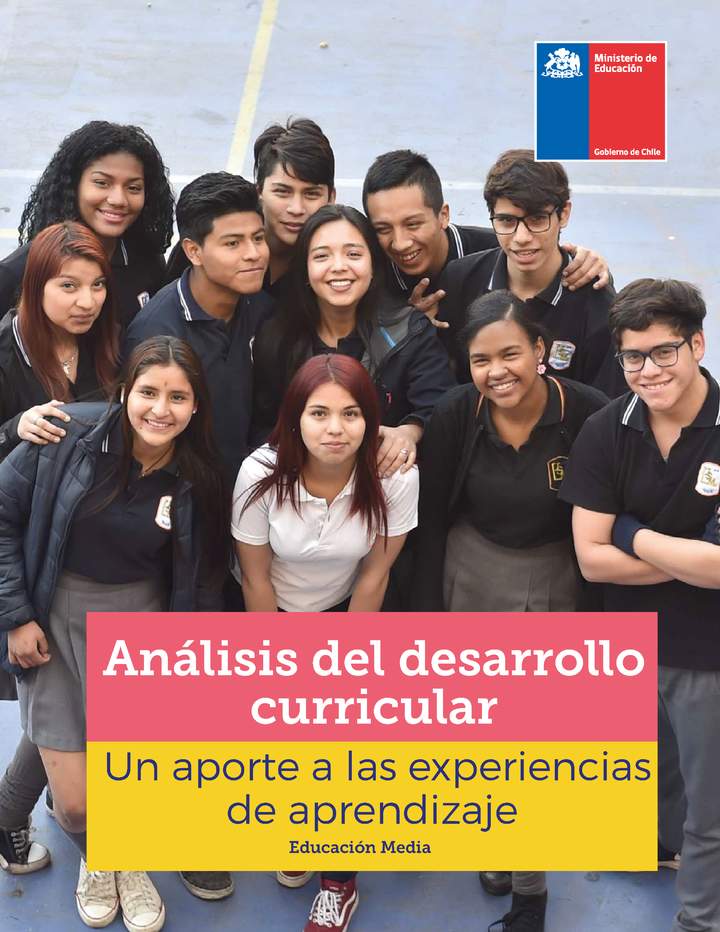Análisis del Desarrollo Curricular: Un aporte a las experiencias de aprendizajes Imagen portada