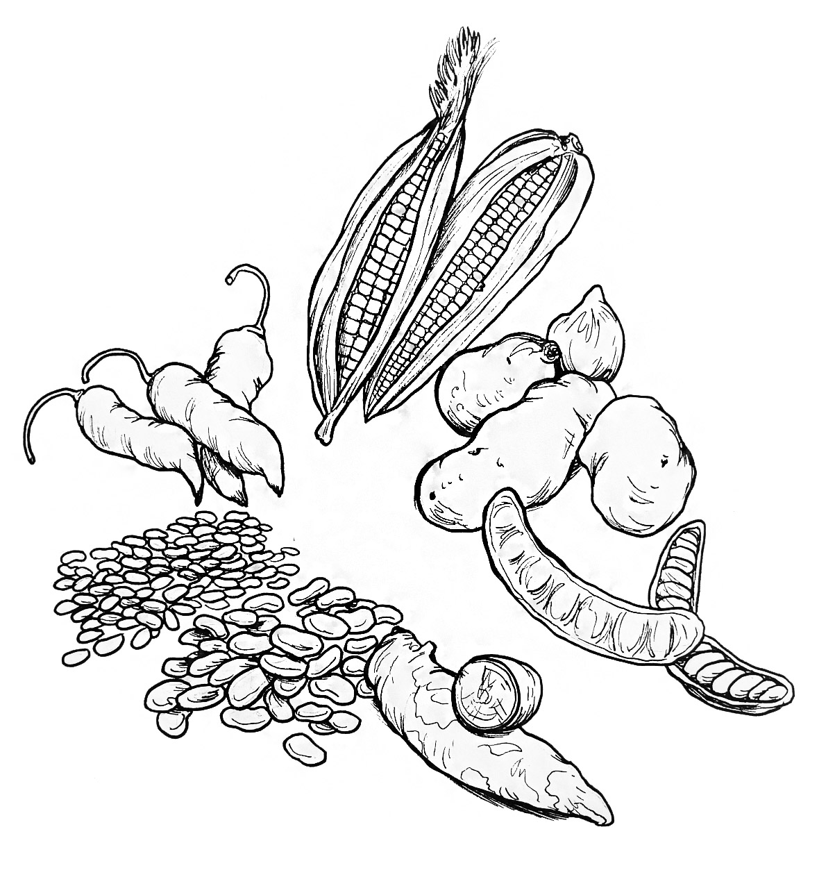 Productos agrícolas incas Imagen portada