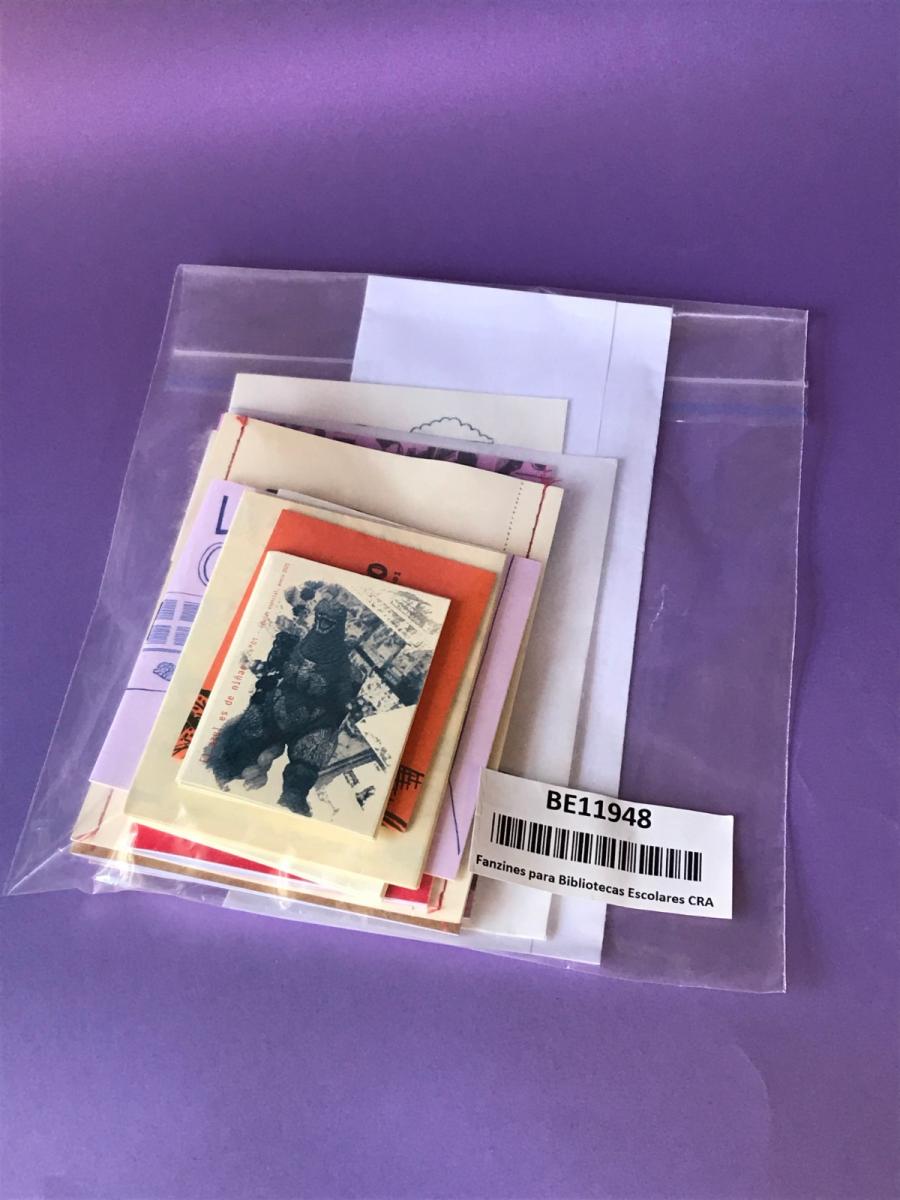 fanzines 3.jpeg