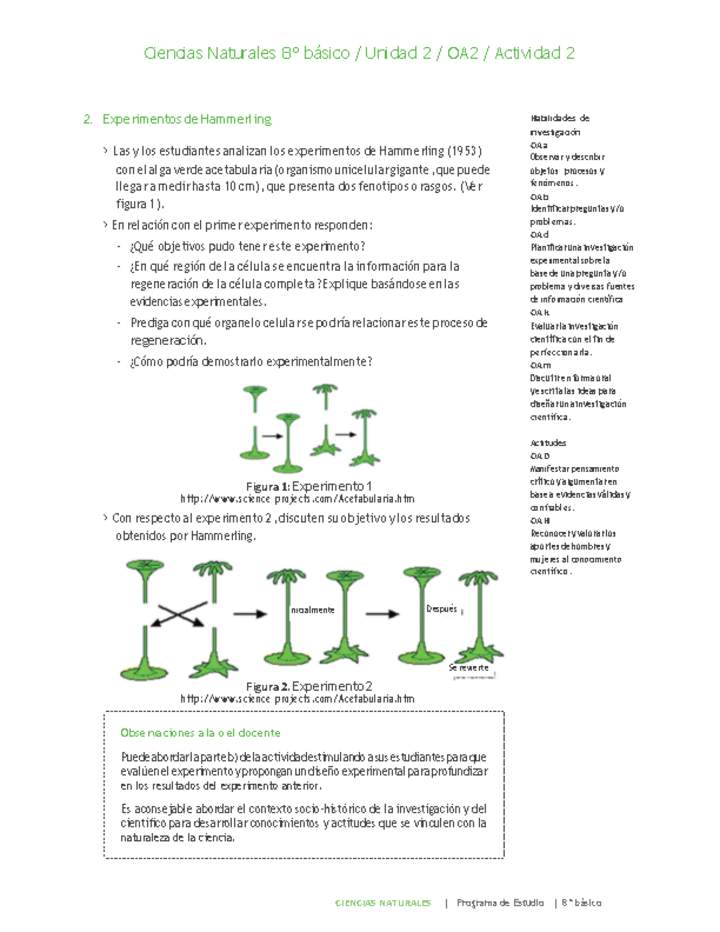 Ciencias Naturales 8° básico-Unidad 2-OA2-Actividad 2 Imagen portada