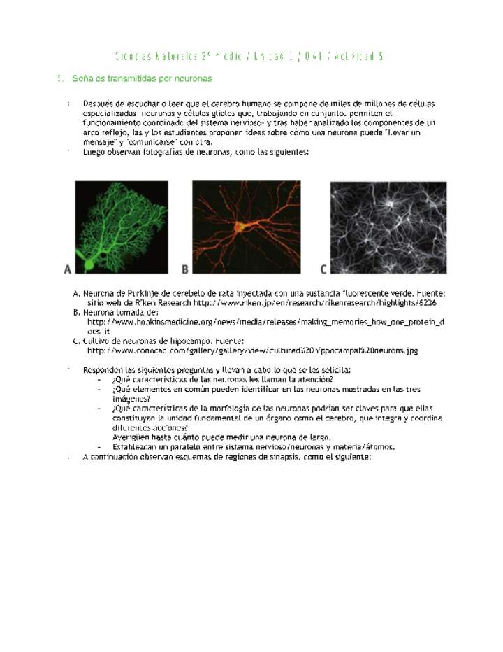 Ciencias Naturales 2 medio-Unidad 1-OA1-Actividad 5 Imagen portada