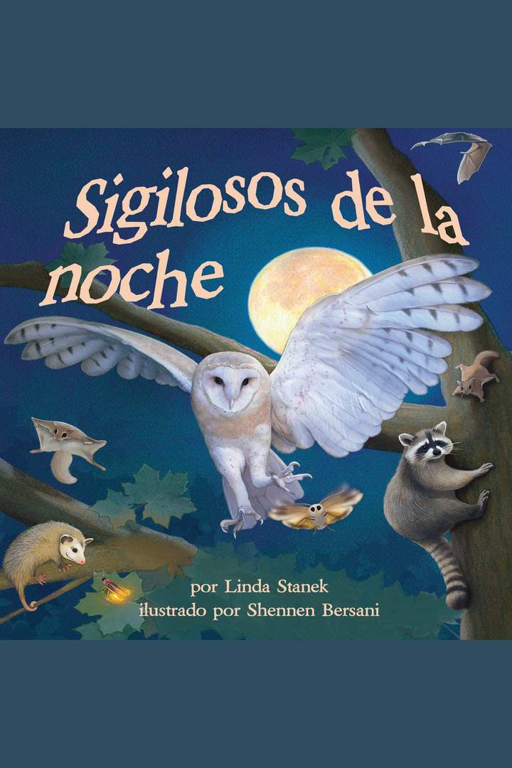 Imagen portada