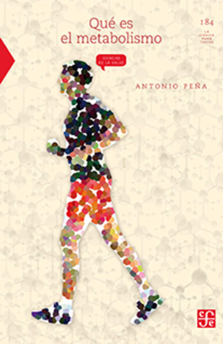 Qué es el metabolismo Imagen portada