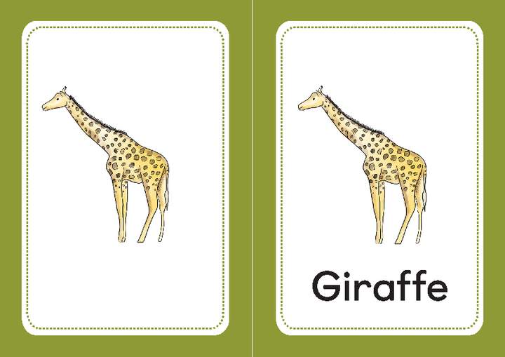Animal's names Imagen portada