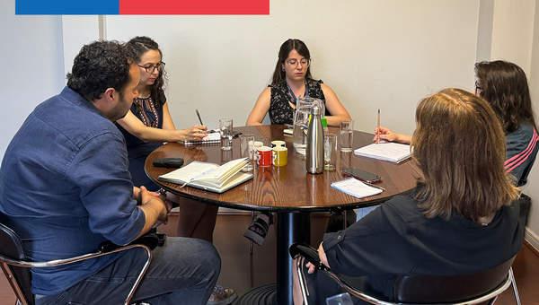 Profesionales de la UCE se reúnen con docentes de la UDP para analizar propuesta de Actualización Curricular 