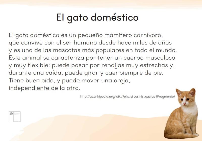 El gato doméstico