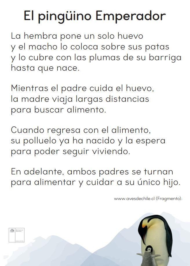 El pingüino Emperador