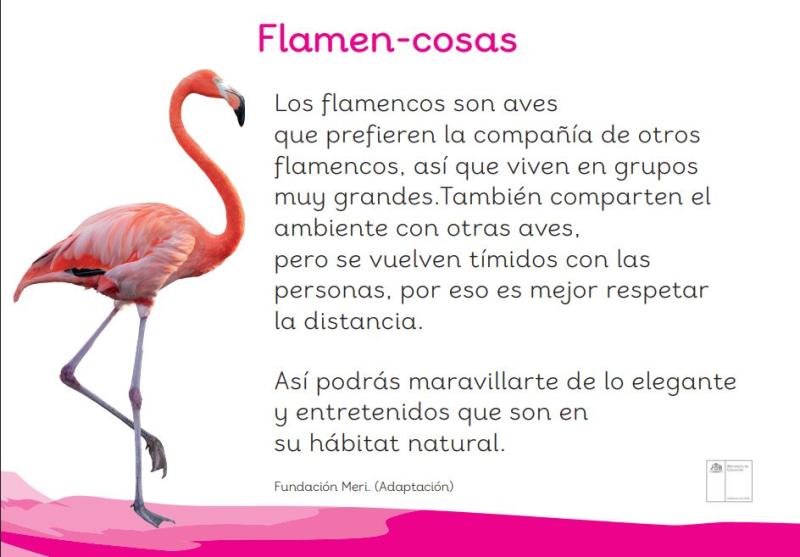 Flamen-cosas