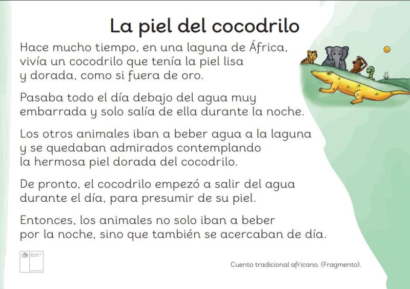 La piel del cocodrilo 