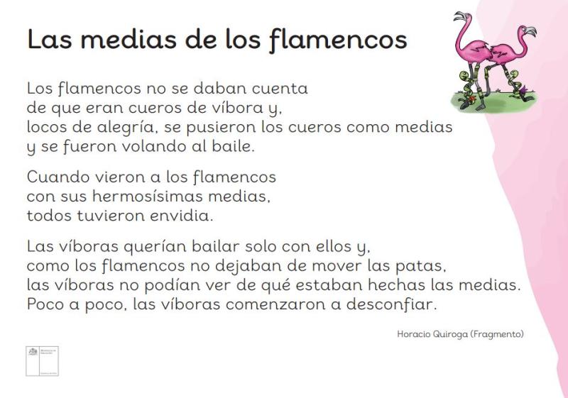Las medias de los flamencos