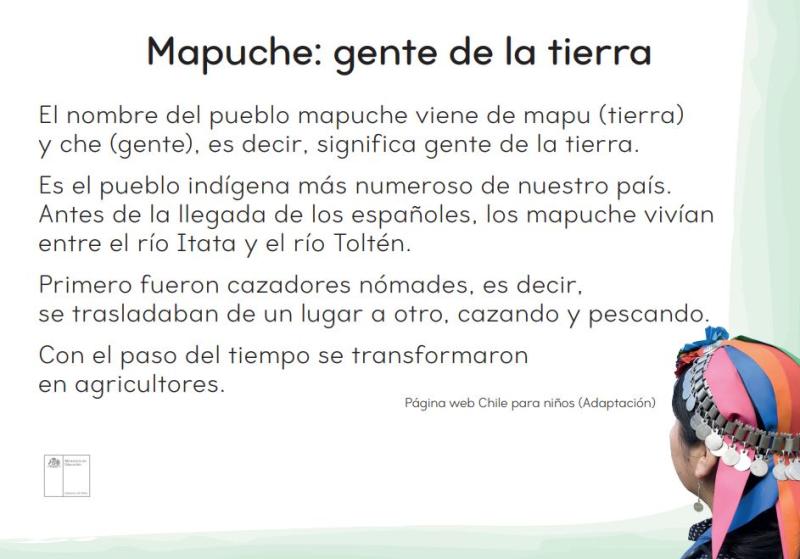 Mapuche: gente de la tierra
