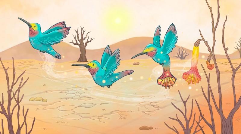 La misión del colibrí