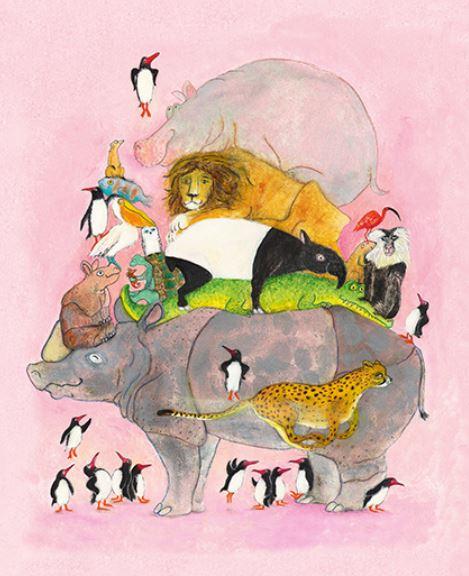 Zoolibro 