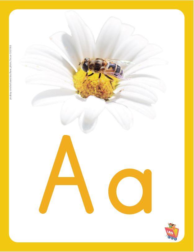 Abecedario Visual para el aula 