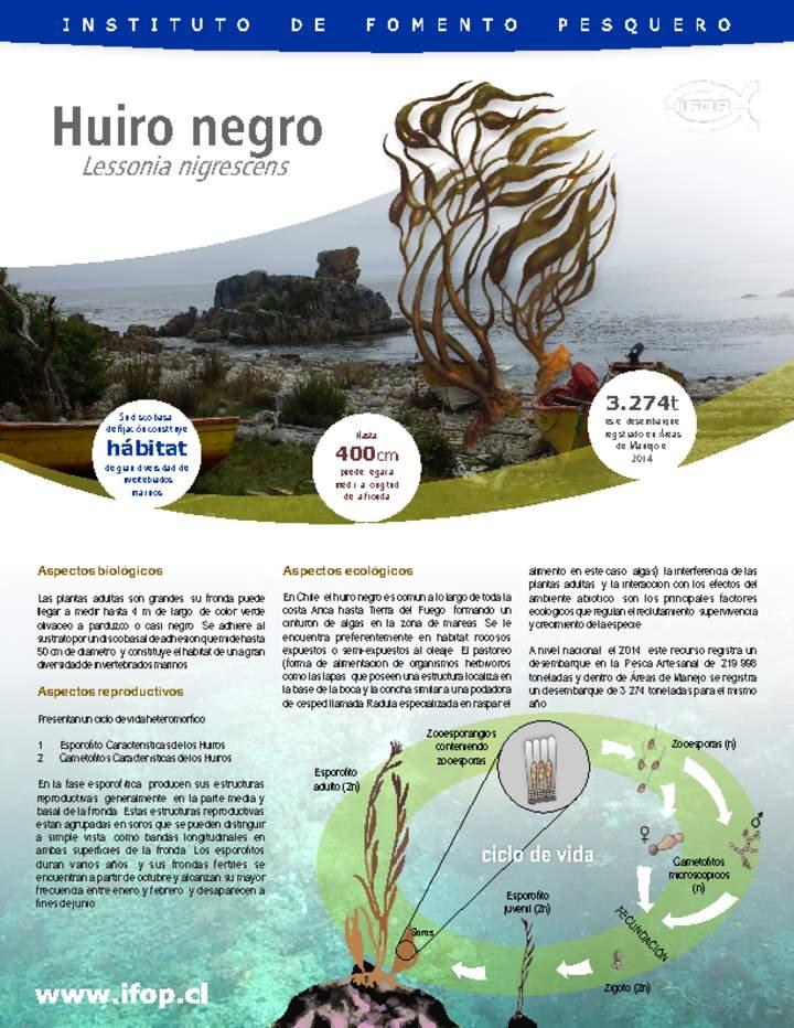 Huiro negro Imagen portada