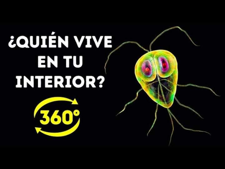Imagen portada