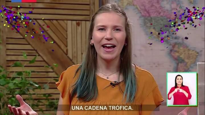 Imagen portada