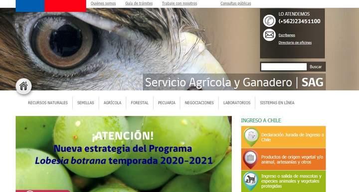 SAG Imagen portada