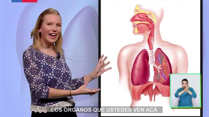 Imagen portada
