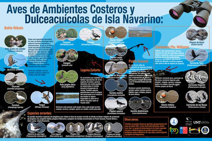 Imagen portada