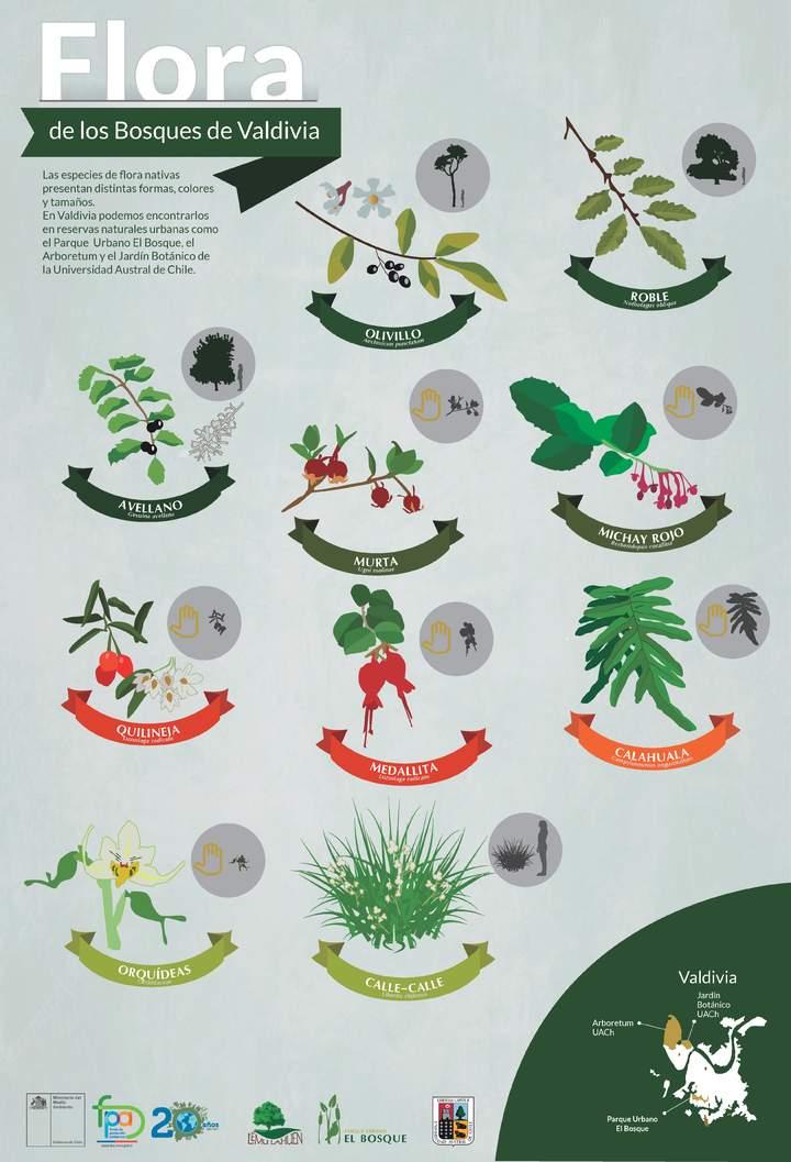 Imagen portada