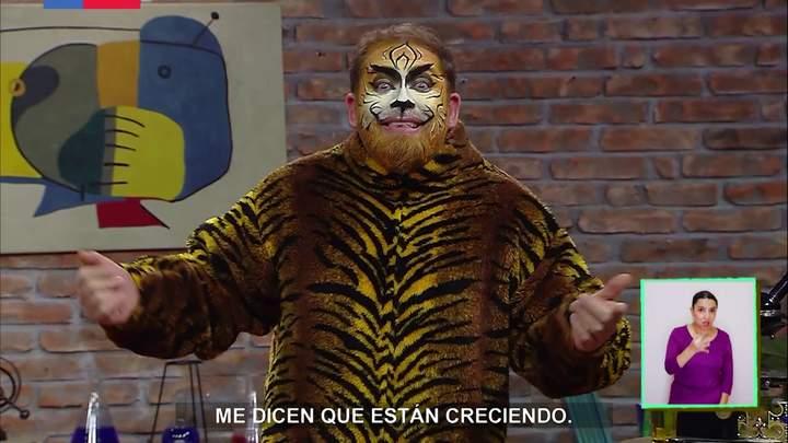 Imagen portada