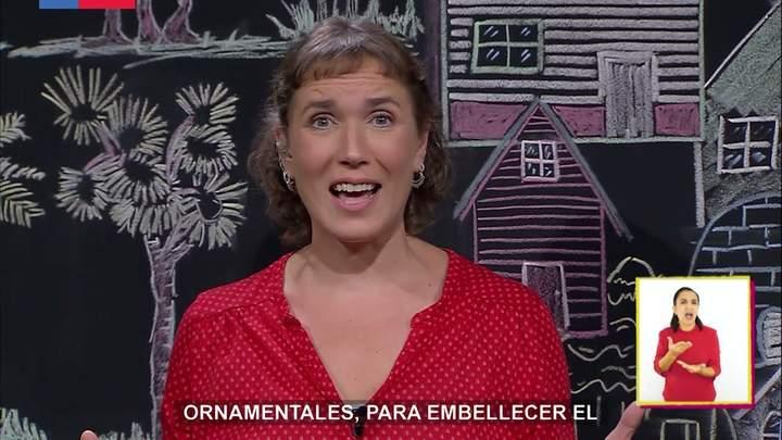 Imagen portada