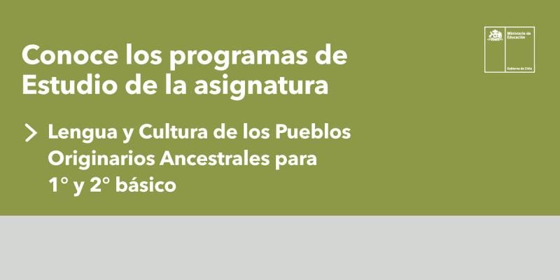 Noticias_Lengua-y-cultura.jpg